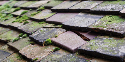 Tiptree roof repair costs